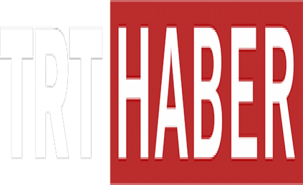 Kedi ve köpeklerdeki mantar hastalığını yerli kit tespit ediyor